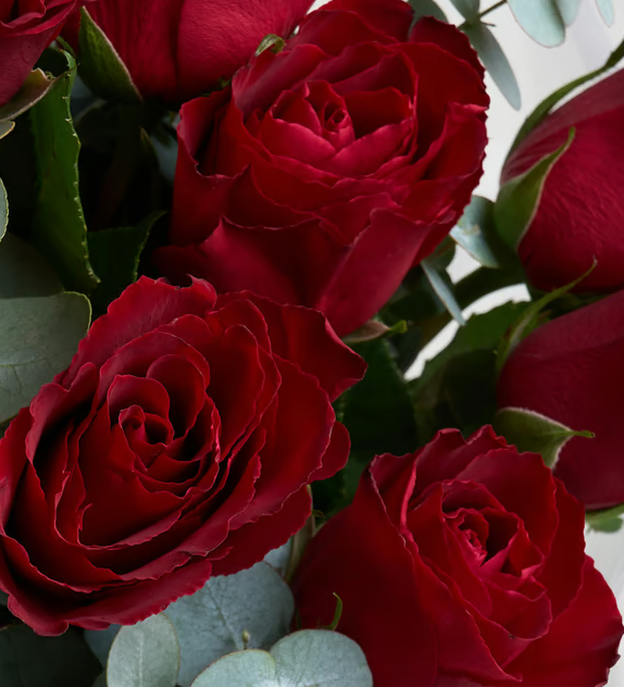Text